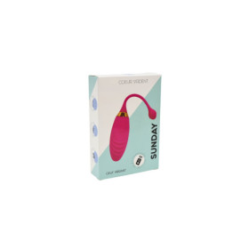 SUNDAY, Un Œuf vibrant USB avec télécommande, dans un silicone médical doux et rainuré 